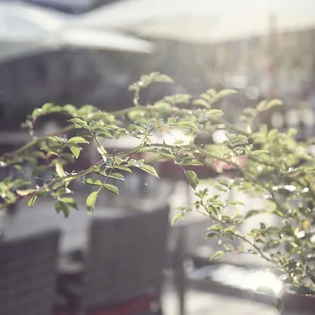 & Heigenhauser Waidring