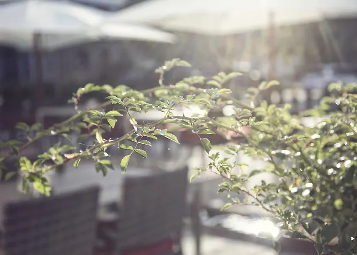 & Heigenhauser Waidring