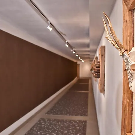 מלון & Heigenhauser